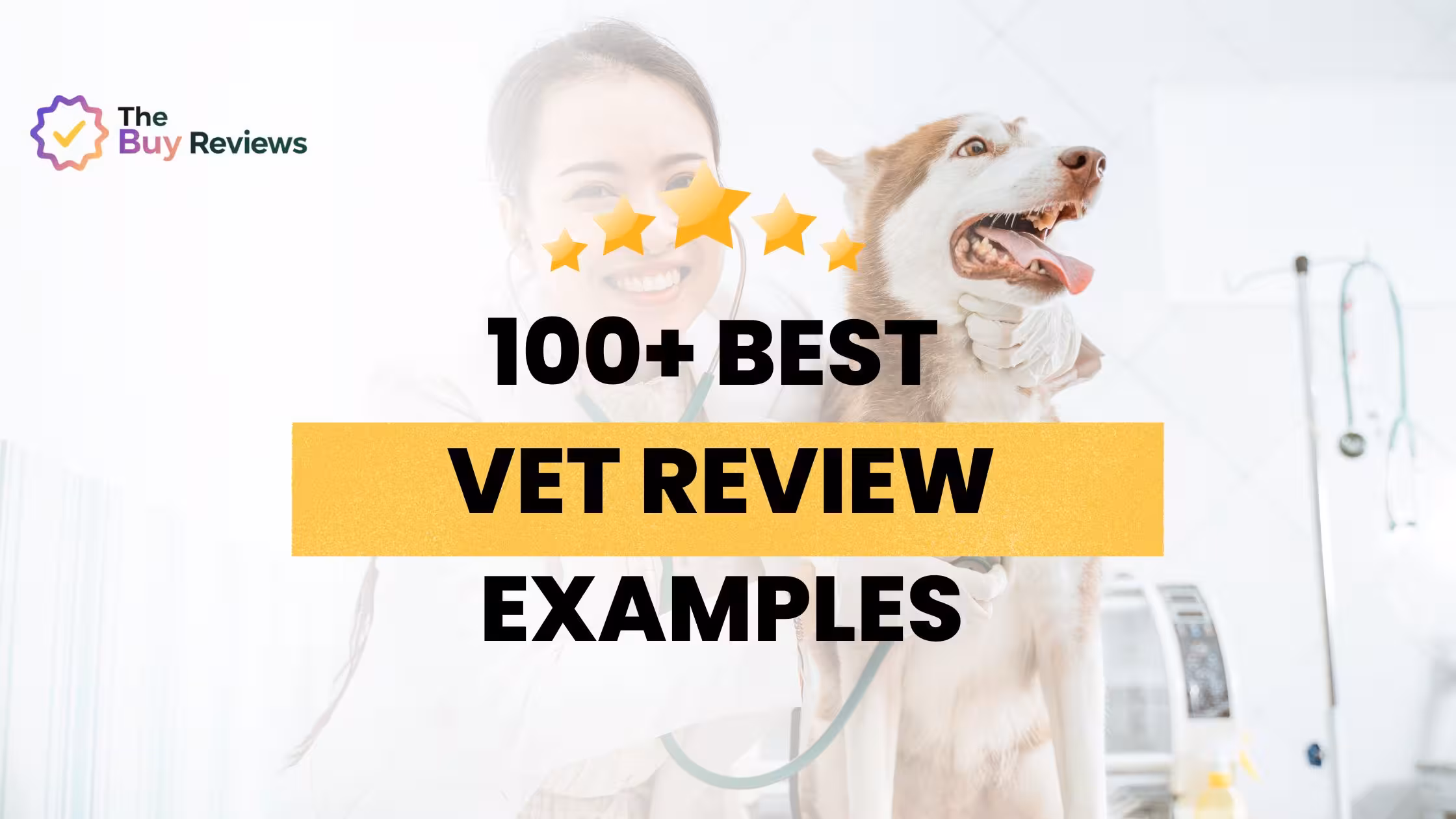 100+ Vet and Animal Hospital Review Examples and Templates