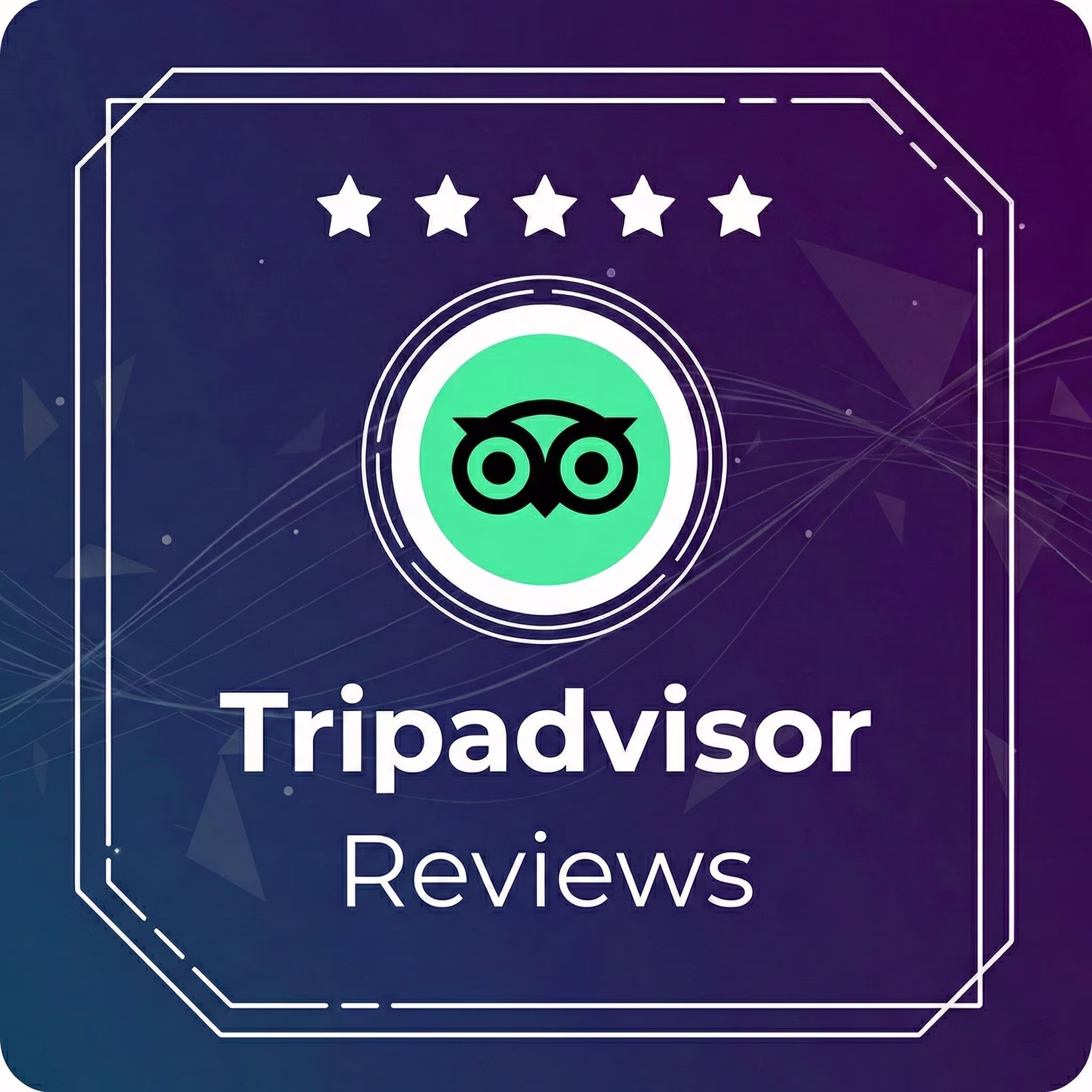 Buy-TripAdvisor-Reviews.avif